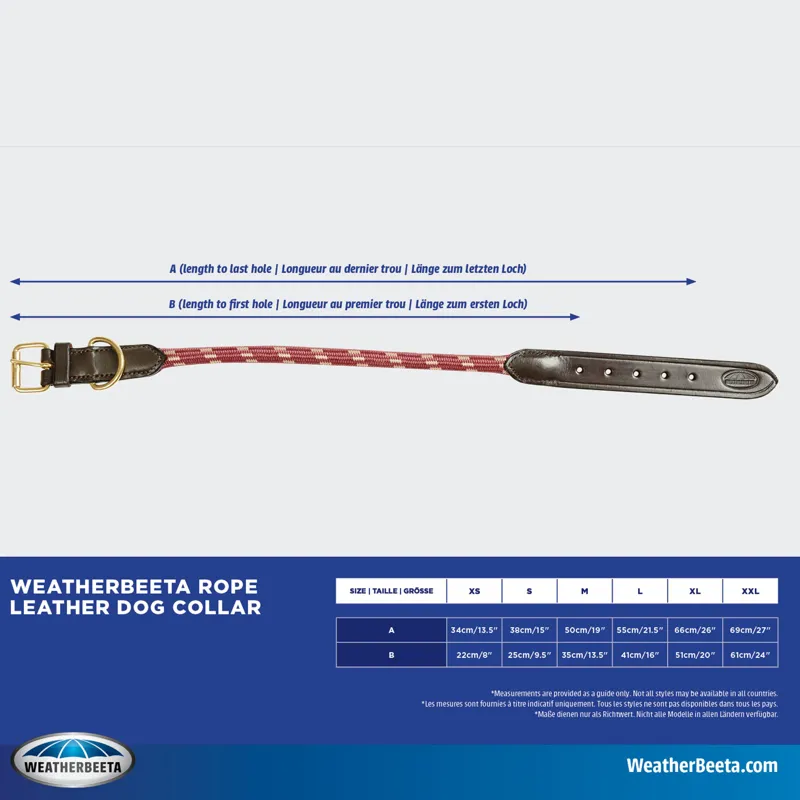 Weatherbeeta Rope/Rolled Leather Dog Collar-1