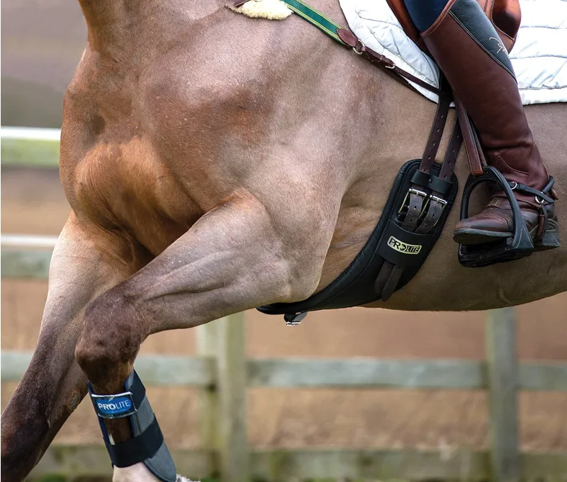 Prolite Girth Narrow - Brown Short-2