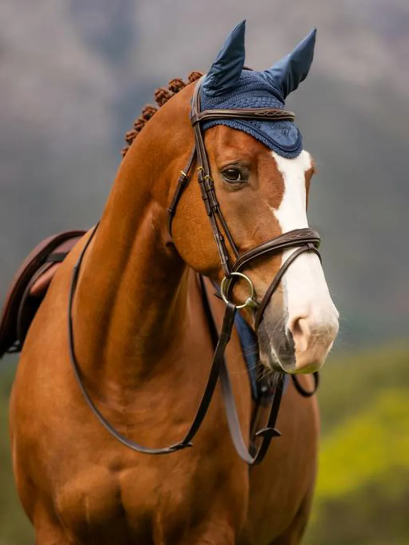 LeMieux Classic Fly Hood - Atlantic 