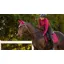 LeMieux Suede Dressage Square - Mulberry