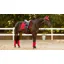 LeMieux Suede Dressage Square - Chilli