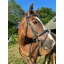 ENGLISH LEATHER Padded Crank Bridle with Raised Head and Rubber Grip Reins - Black