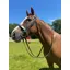 ENGLISH LEATHER Heavy Weight No 1 Cavesson Bridle - Brown