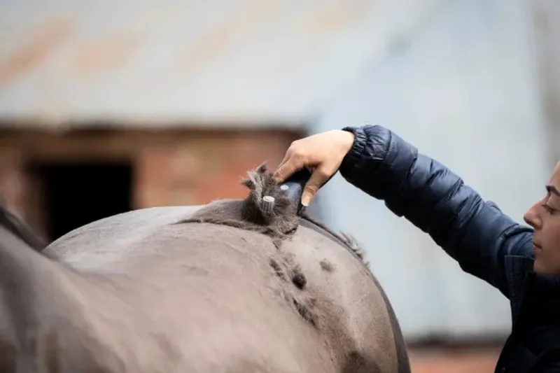 Lister Eclipse Clippers-2