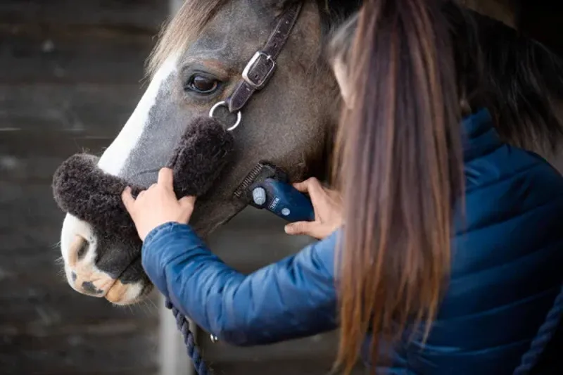 Lister Eclipse Clippers-1