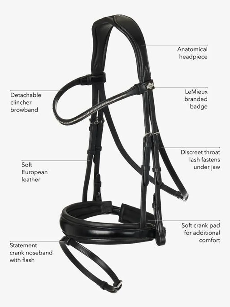 LeMieux Kudos Classic Dressage Bridle with Anatomic Clincher Browband- Black-5