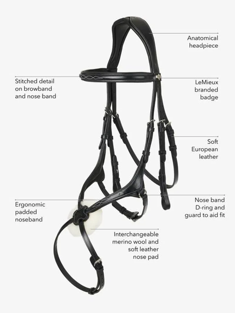 LeMieux Kudos Soft Leather Grackle Bridle - Black-4